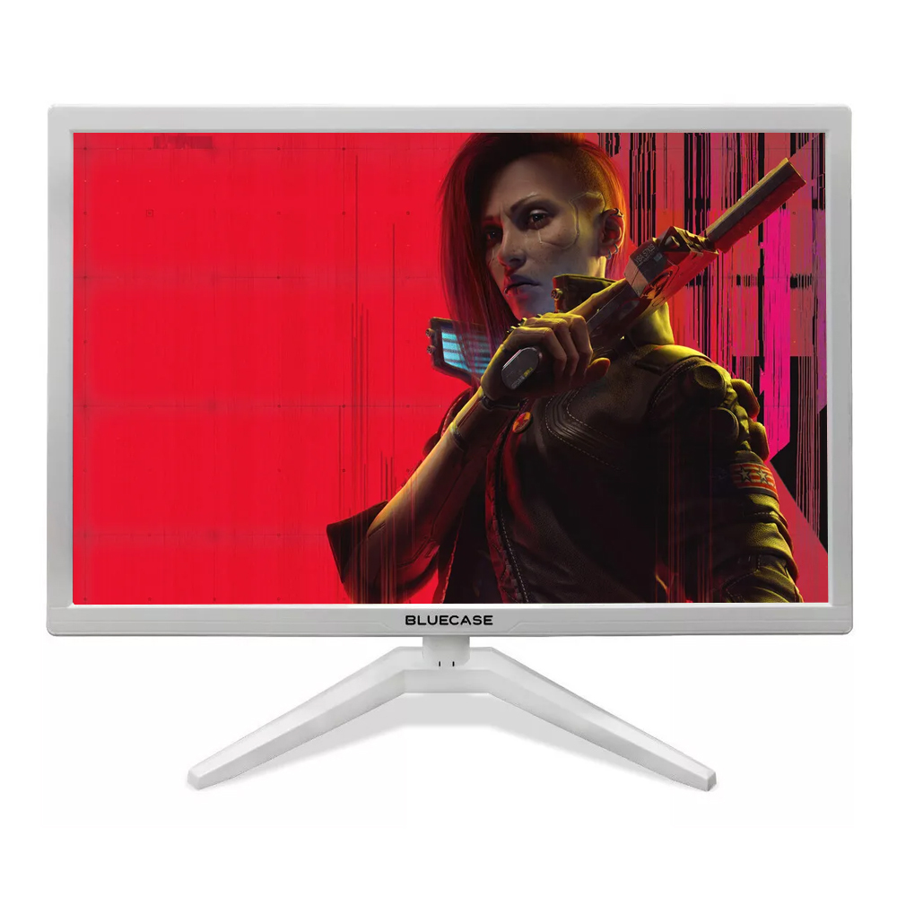 Monitor Bluecase BM24HVW 24P Full HD HDMI/VGA/VESA image number 0